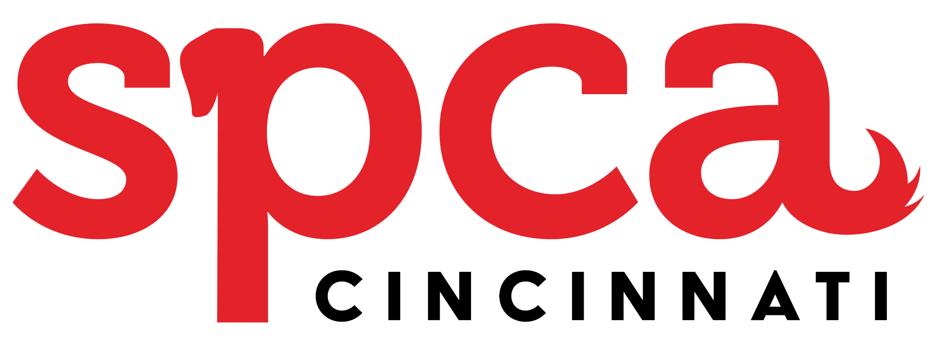 SPCA Cincinnati - Website Logo