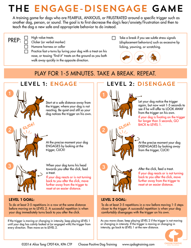 cinti craigslist pets