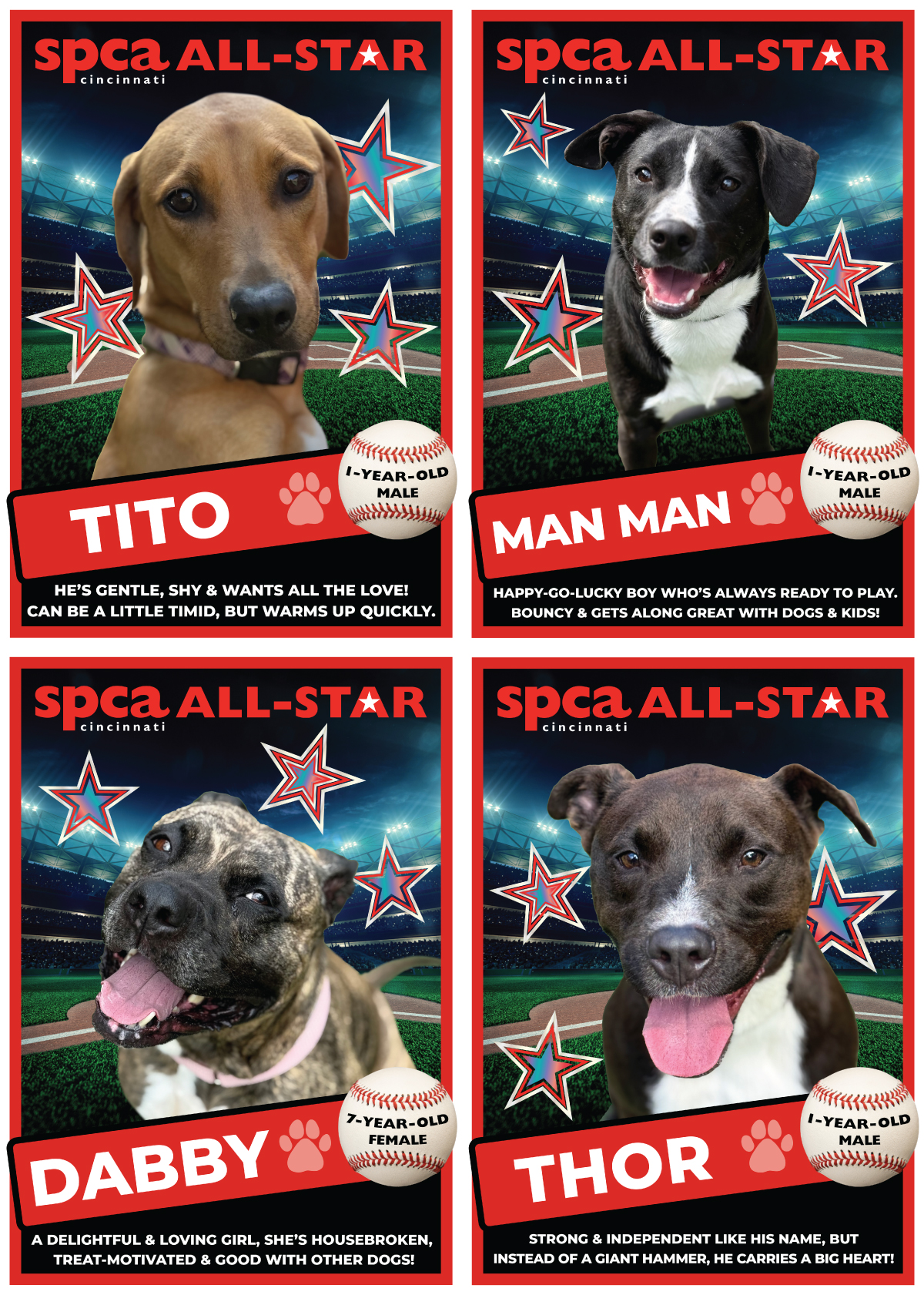 All-Star dogs 2025
