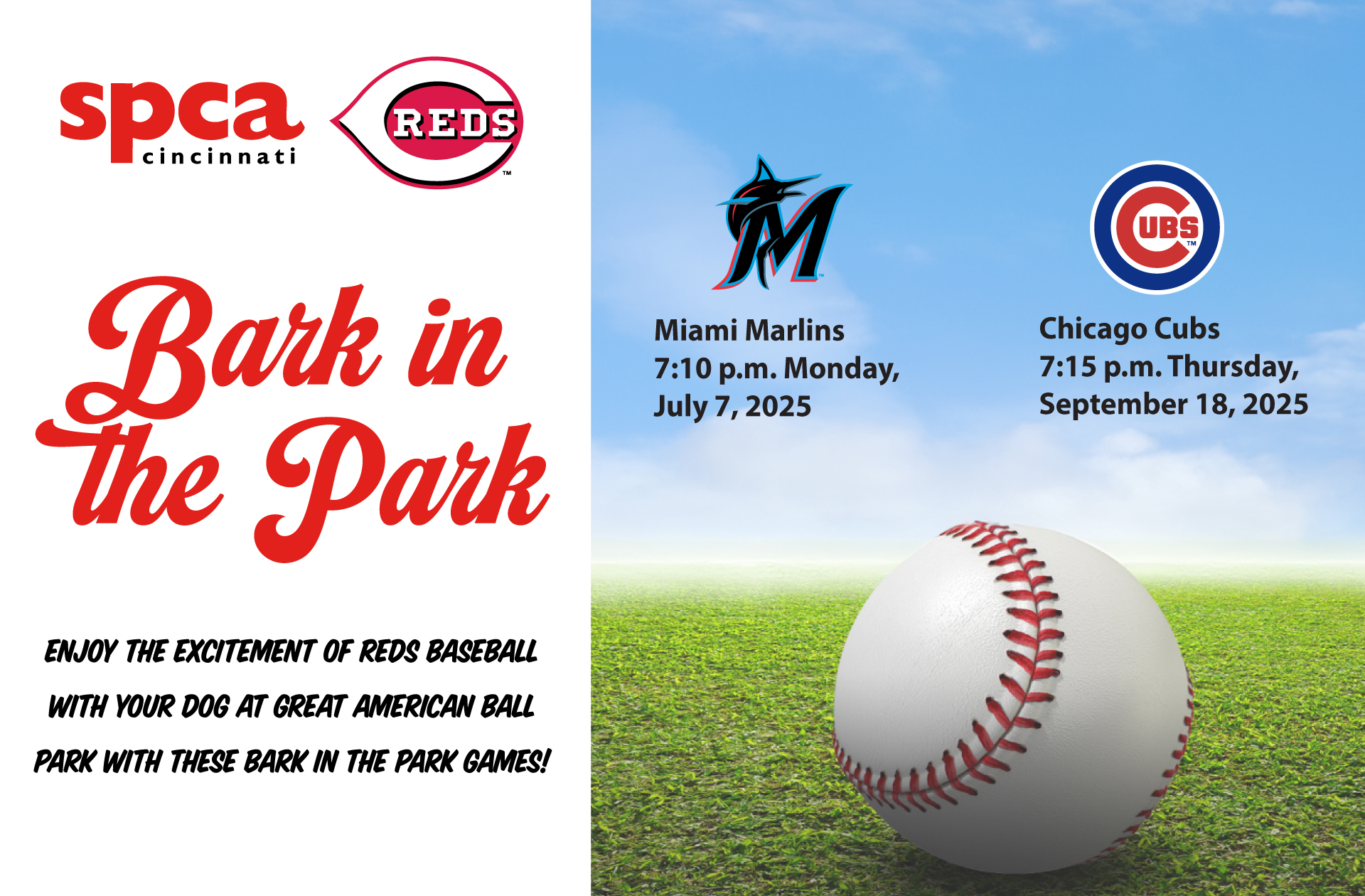 bark in the Park 2025