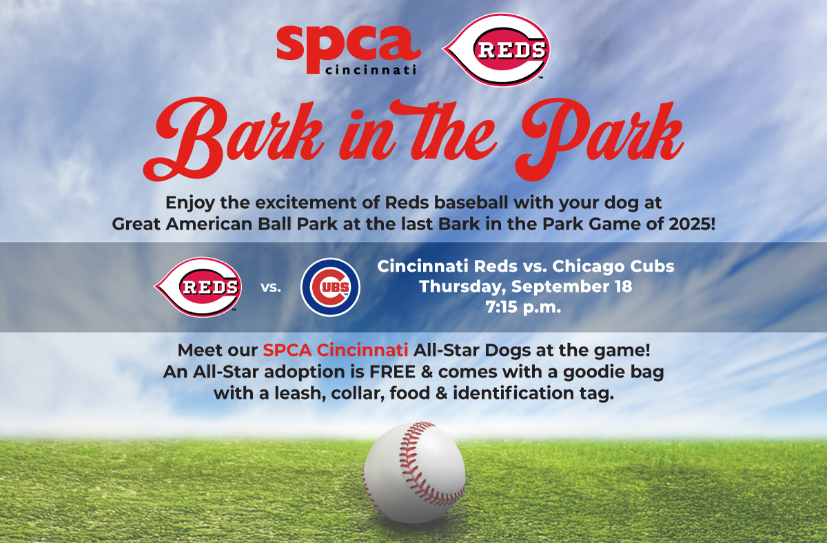 Bark in the Park