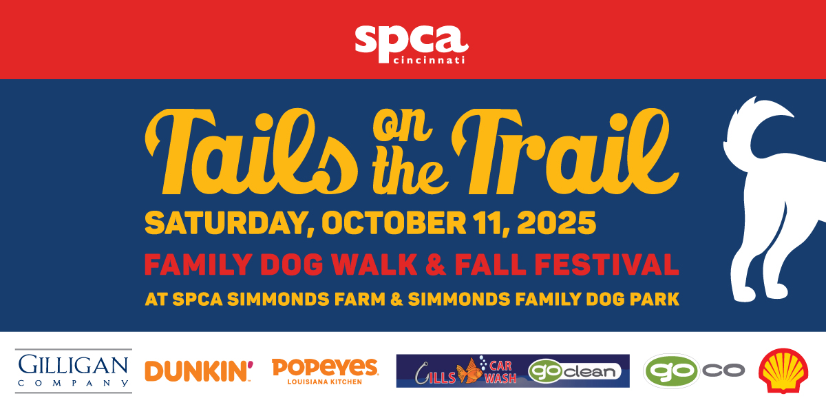 walk banner