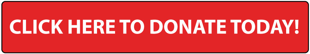 donate button