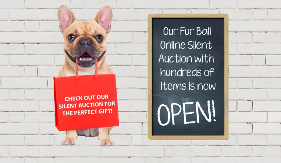 Fur Ball 2024 Silent Auction