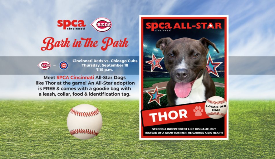 Bark in the Park 2025