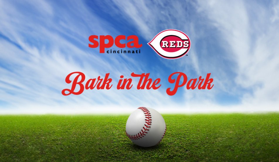 Bark in the Park 2025