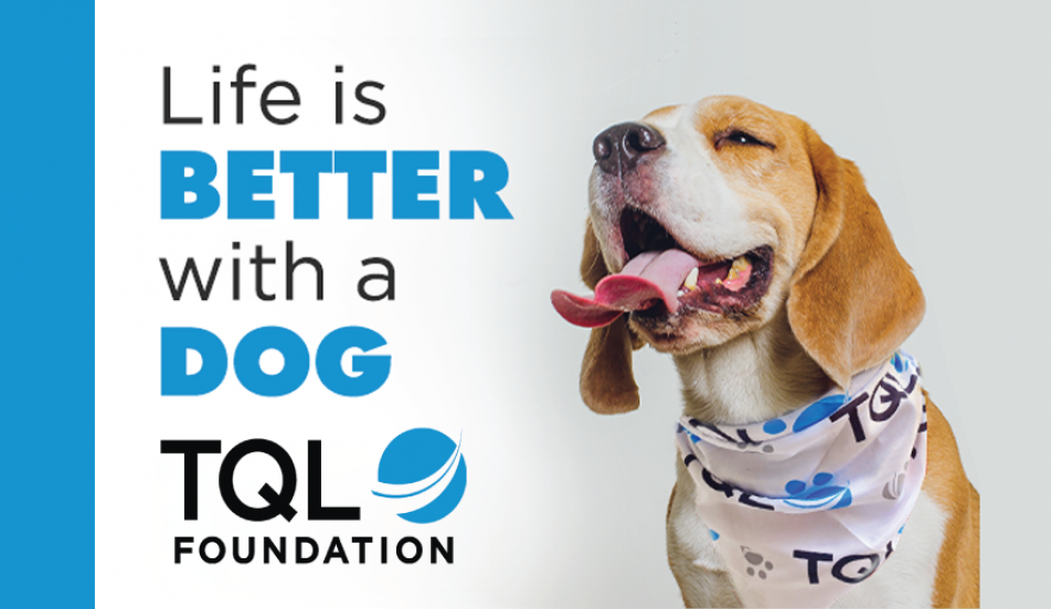TQL adoption