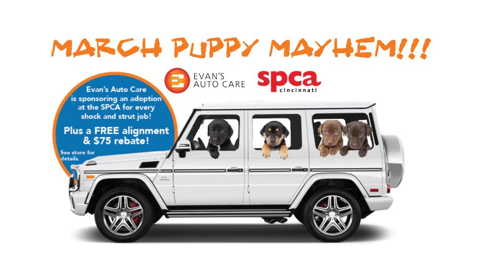 Evans Auto March Puppy Mayhem