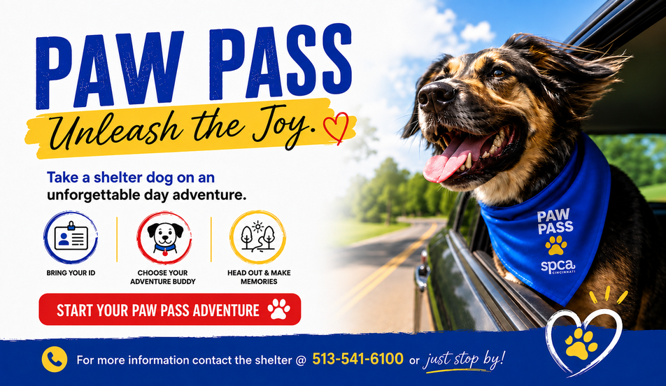 Paw Pass Adventures