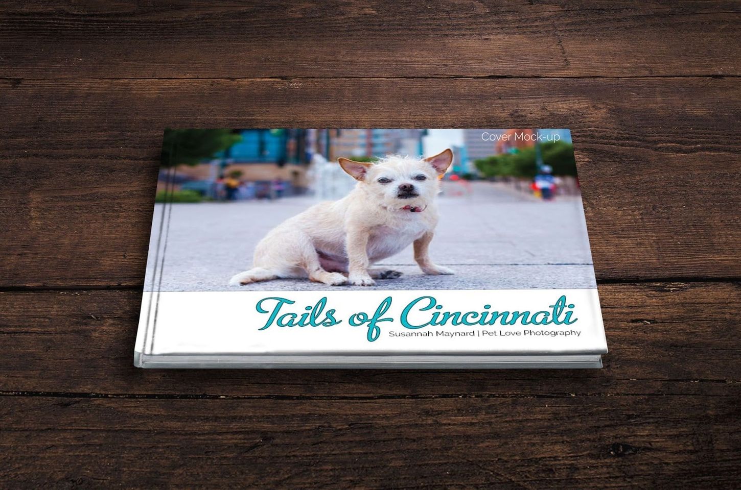 tails of cincinnati